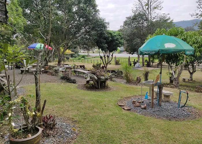 สายฝนการ์เด้น